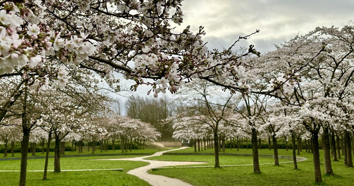 Boekhouder Amstelveen: stadsgezicht van Amstelveen
